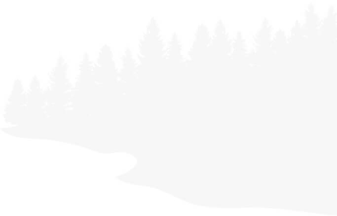 Pine background