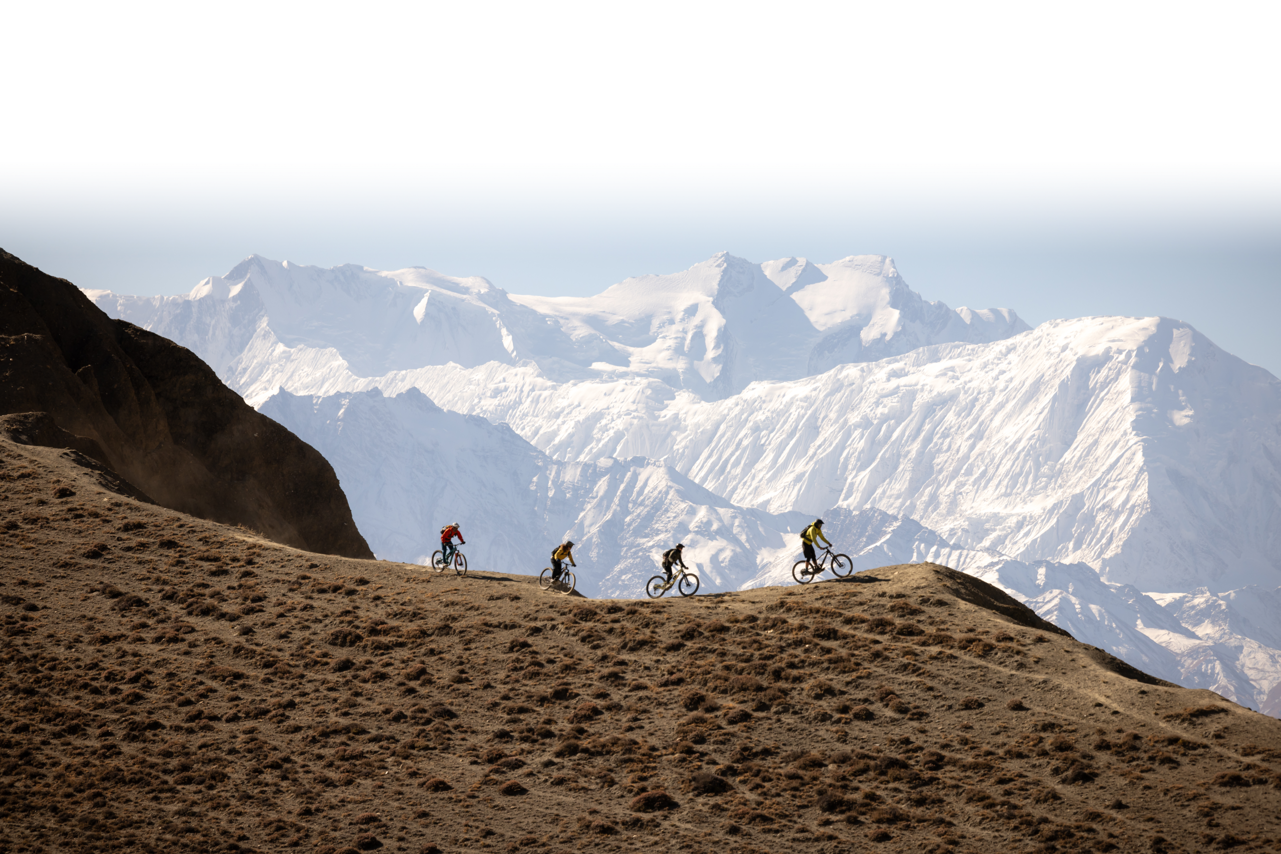 Trail Himalayans